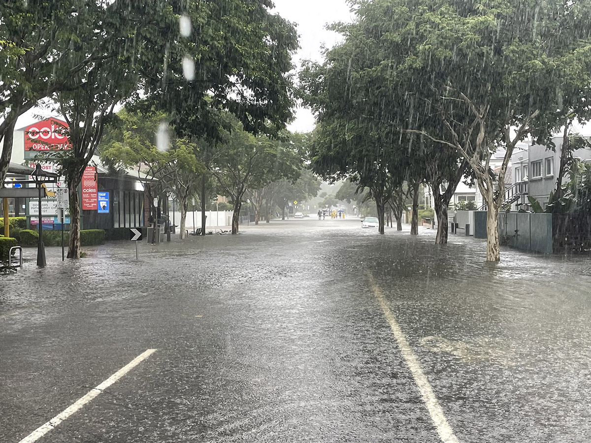 Rain falling on a tree-lined suburban street